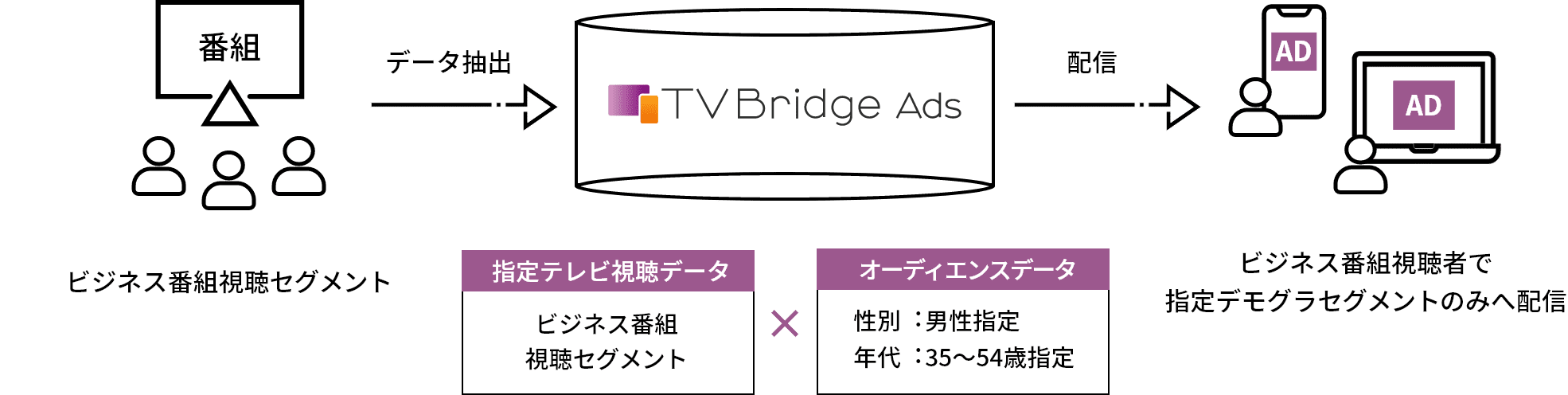 ビジネス番組視聴者で指定デモグラセグメントのみへ配信
